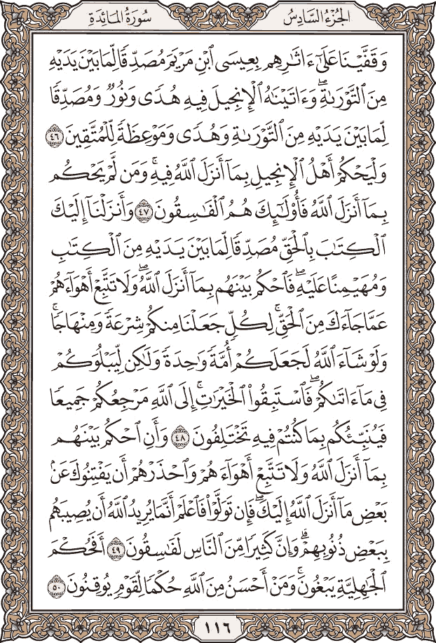 Quran Page 116 – Colored Tajweed Mushaf