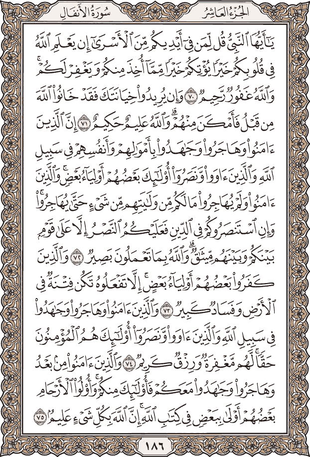 Quran Page 186 – Colored Tajweed Mushaf