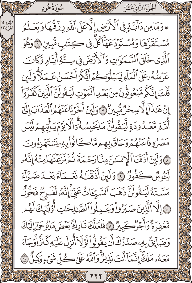 Quran Page 222 – Colored Tajweed Mushaf
