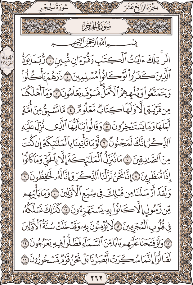 Quran Page 262 – Colored Tajweed Mushaf