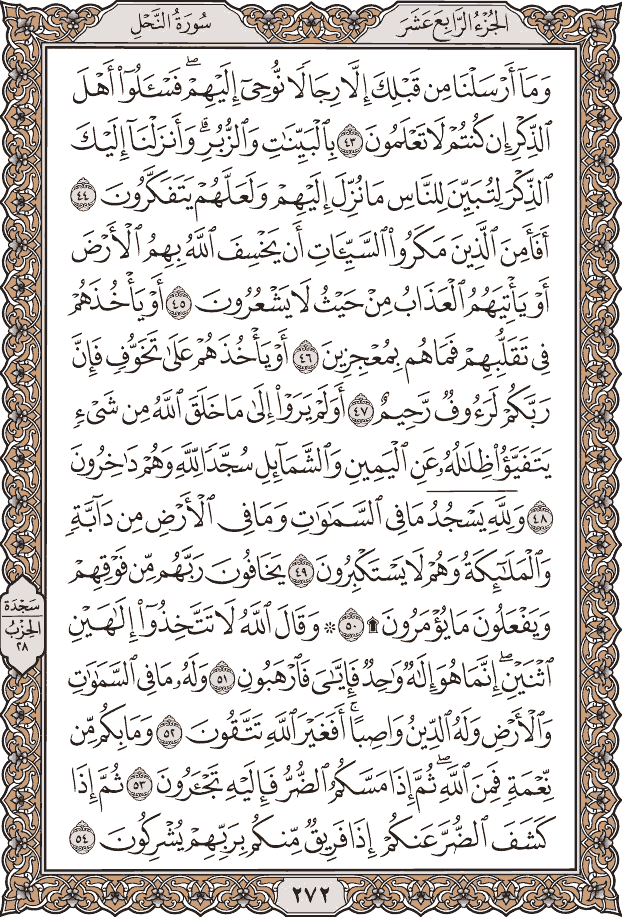 Quran Page 272 – Colored Tajweed Mushaf