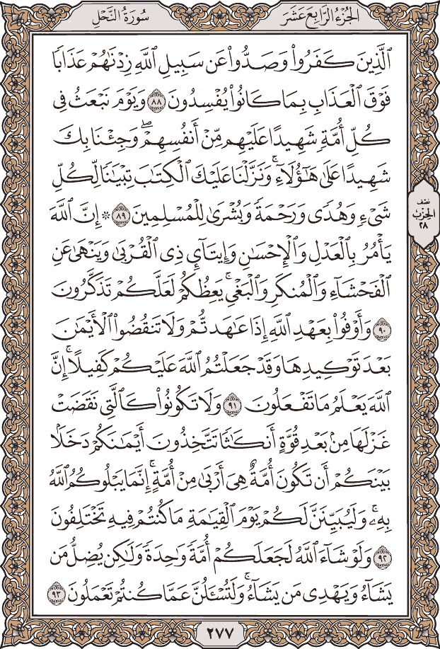 Quran Page 277 – Colored Tajweed Mushaf