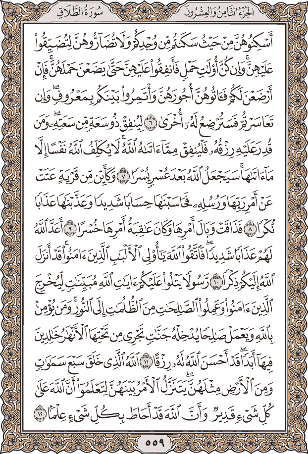 Quran Page 559 – Colored Tajweed Mushaf